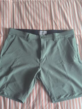Men's Flat Front Performance Shorts in Sage Green